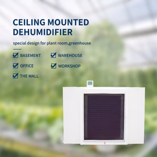 Industrielle Lufttrocknungsmaschine, kommerzieller Deckenentfeuchter für Gewächshäuser